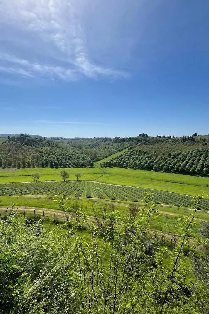 Tenuta Poggio Al Tufo Certaldo Italie